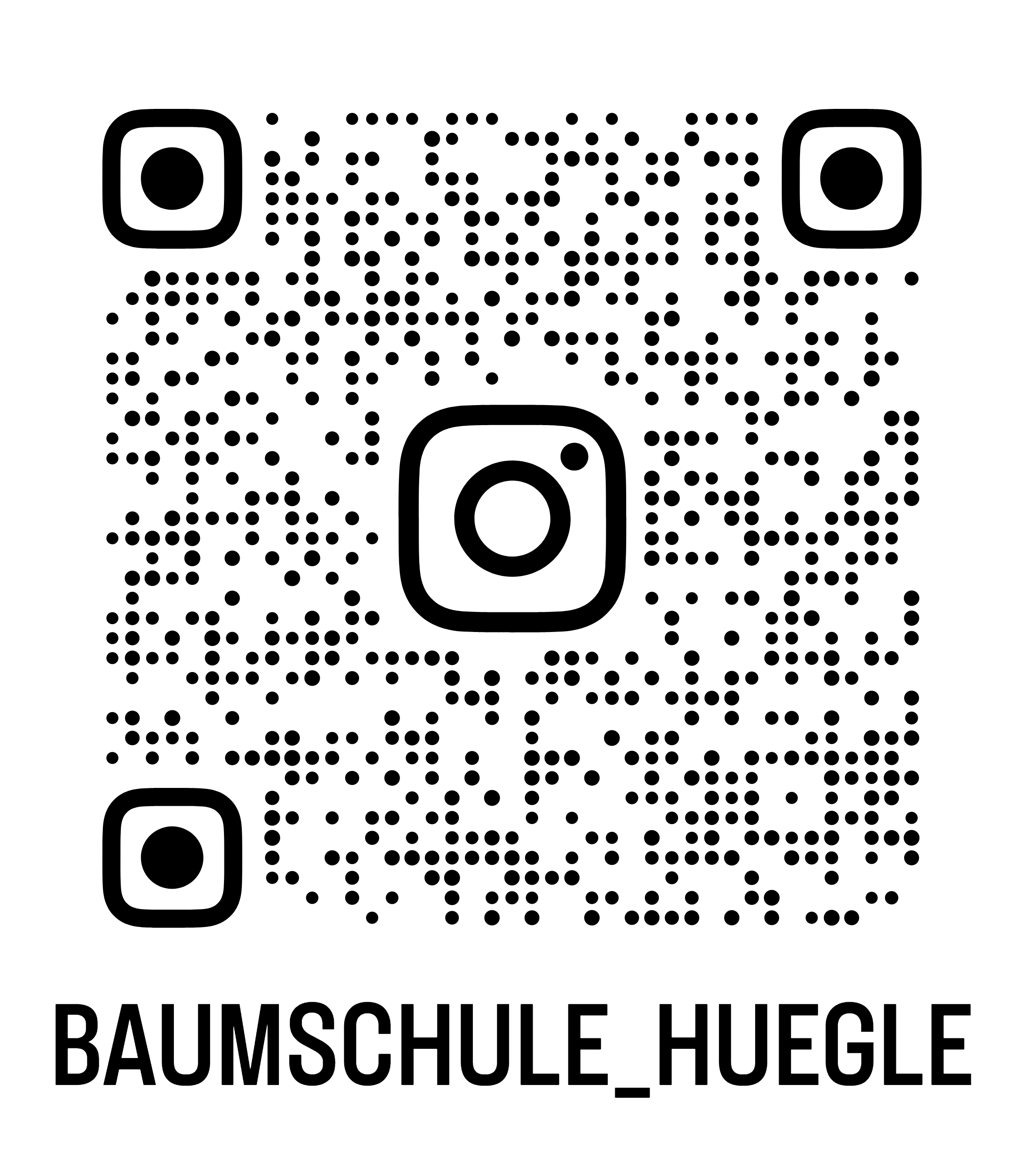 QR-Code Instagram Baumschule Hügle